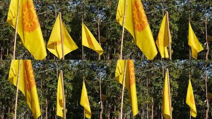 元朝旗幟元朝旗幟AE模板下載_光廠(VJ師網(wǎng))