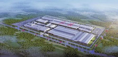 小米集團雷軍來長春了 是奔他來的