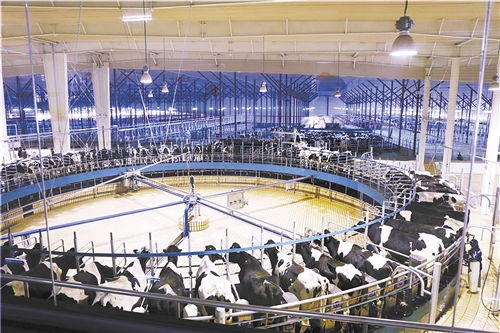 經濟日報多媒體數字報刊