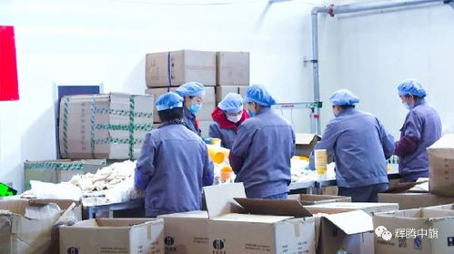 英雄武漢 中國平安丨中國平安采購察右中旗陰山優麥燕麥扶貧產品馳援武漢